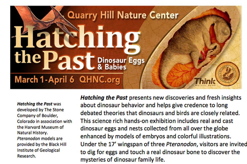 Quarry Hill Nature Center &#8211; &#8216;Hatching The Past&#8217; Dinosaur Eggs &#038; Babies