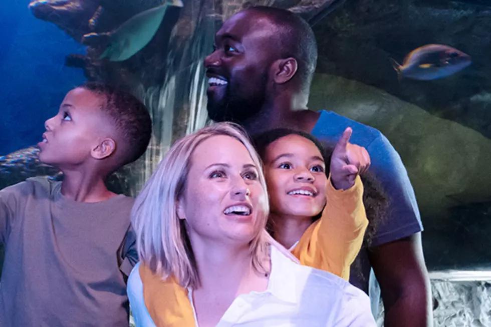 Top Minnesota Attractions Offering Free Admission + Food Deals for Mother’s Day