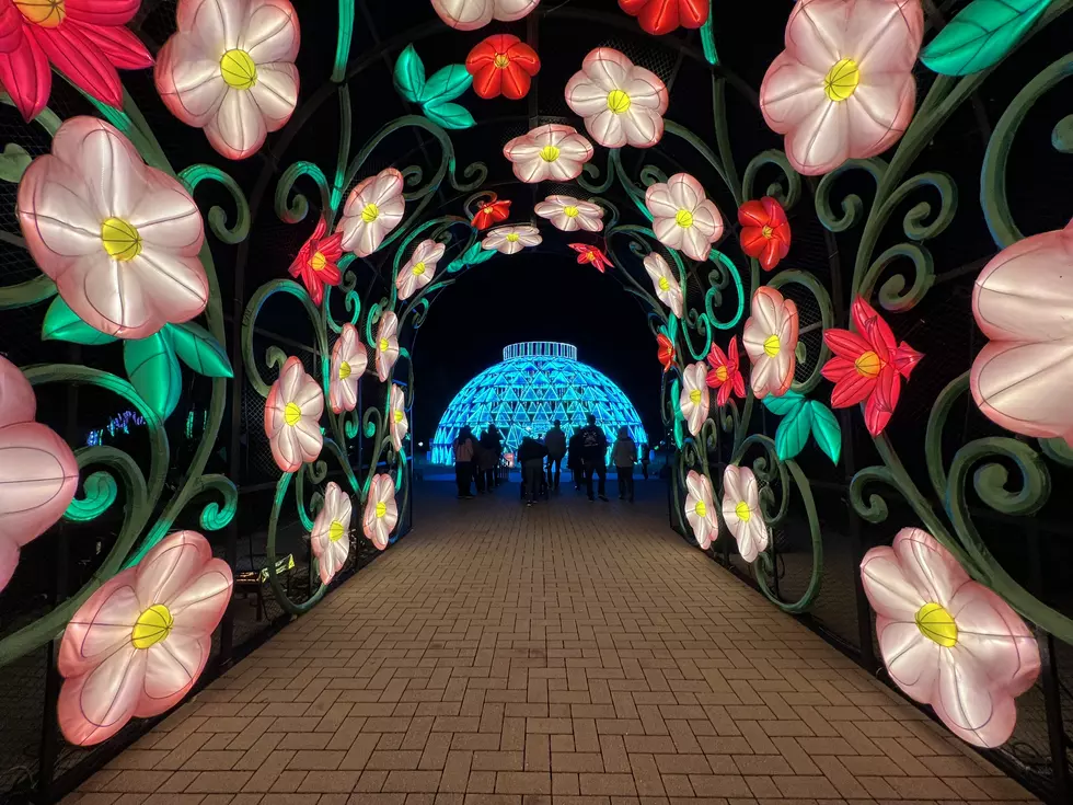 Popular Wisconsin Fall Lights Attraction Extends Their 2024 Season