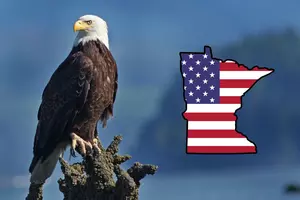 Move Over, Turkeys: America’s True Bird Just Claimed the Throne Thanks to Minnesota