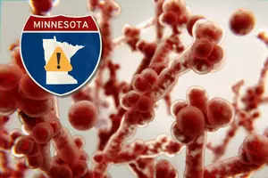 High Alert for Minnesota as Deadly Fungus Spreads Across U.S.
