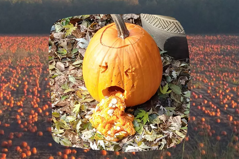 HATE THE GUTS? 4 Easy Pumpkin Decorating Ideas To Try