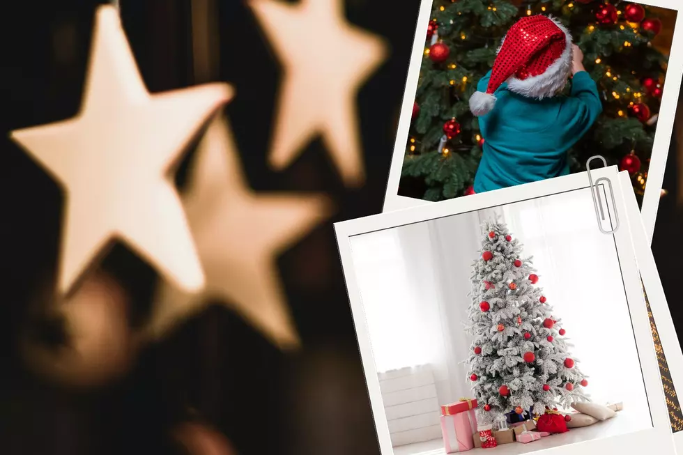 Festival of Trees is Back in Rochester – Here’s What You Need To Know