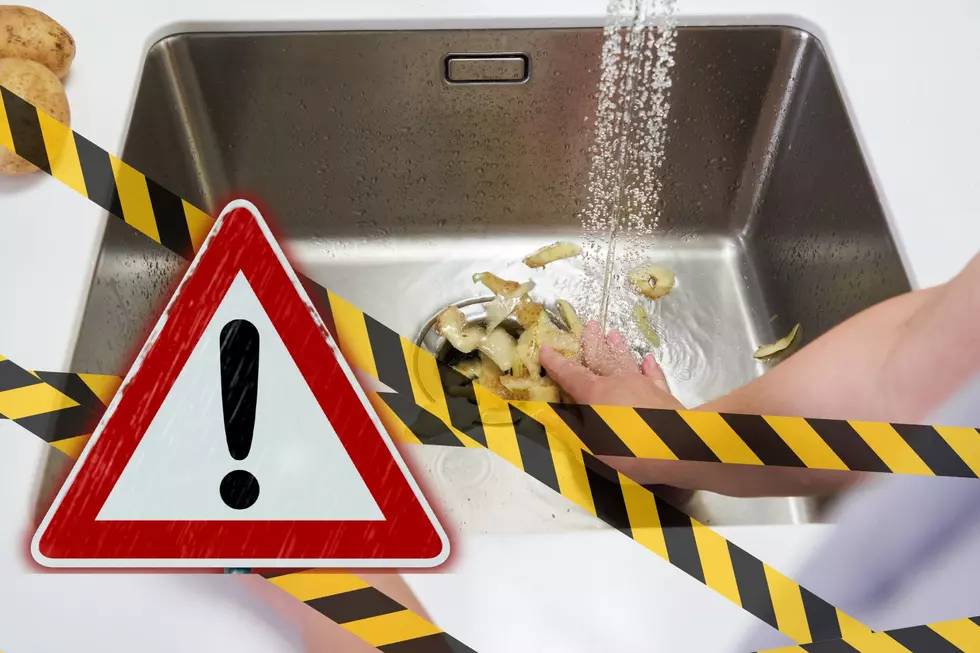 10 Things You Should Never Put in Your Minnesota Garbage Disposal