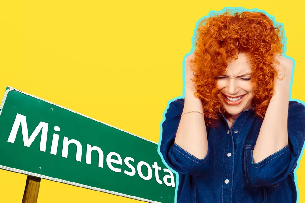 One Of The Most Annoying Bugs Is Back In Minnesota!