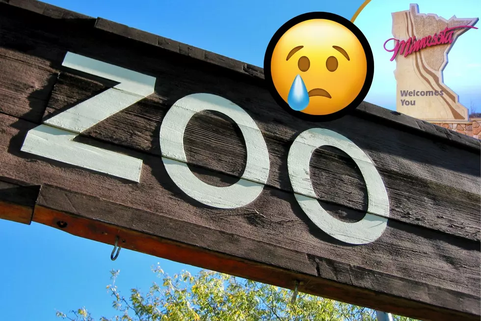 Heartbreaking News Of Animal Death at Popular Zoo In Minnesota