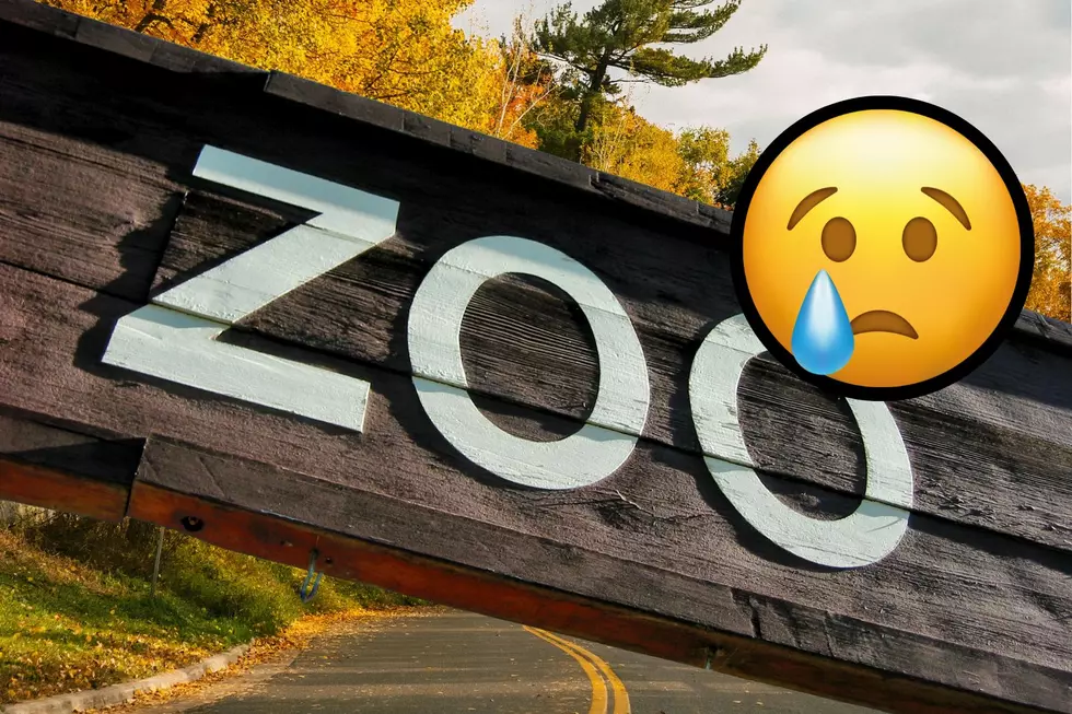 Heartbreaking News From Popular Zollman Zoo in Minnesota