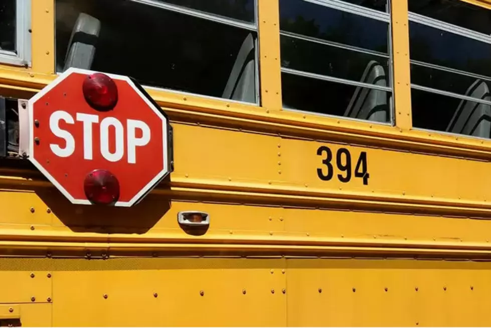 School Bus With Students on Board Collides with Car in Southeast Minnesota