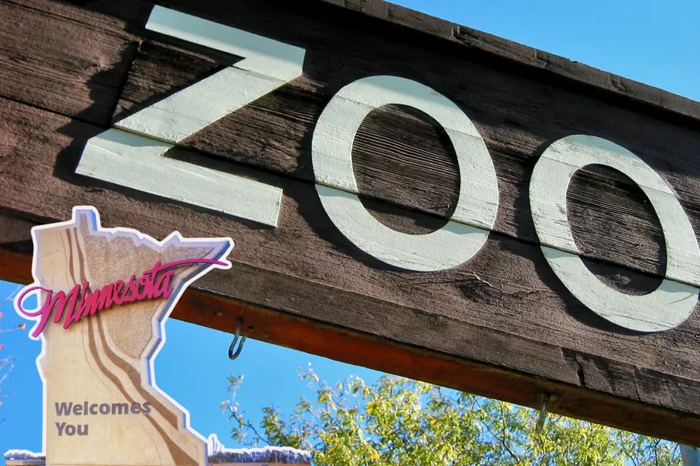 Sad Announcement From Popular Zoo in Southeast Minnesota