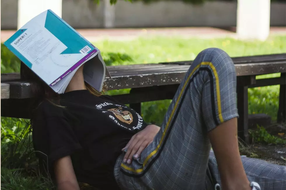What Kids Really Want to Do on MEA Weekend — Minnesota Edition