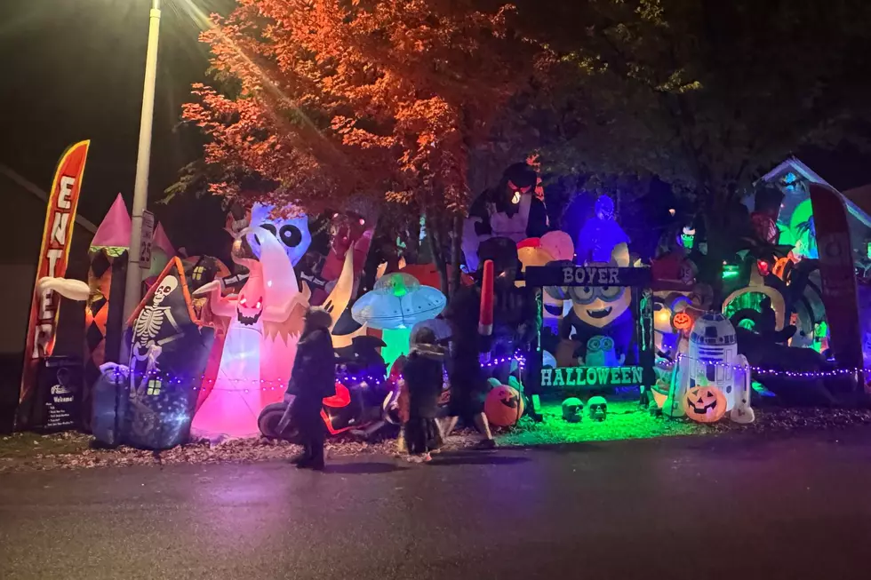 Epic Rochester Halloween Display Raises Over $10,000 for Channel One Food Bank