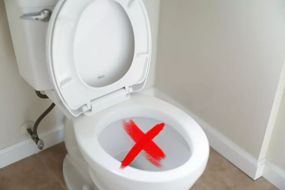 Don’t Make This Mistake: 14 Items You Should Never Flush Down A Toilet