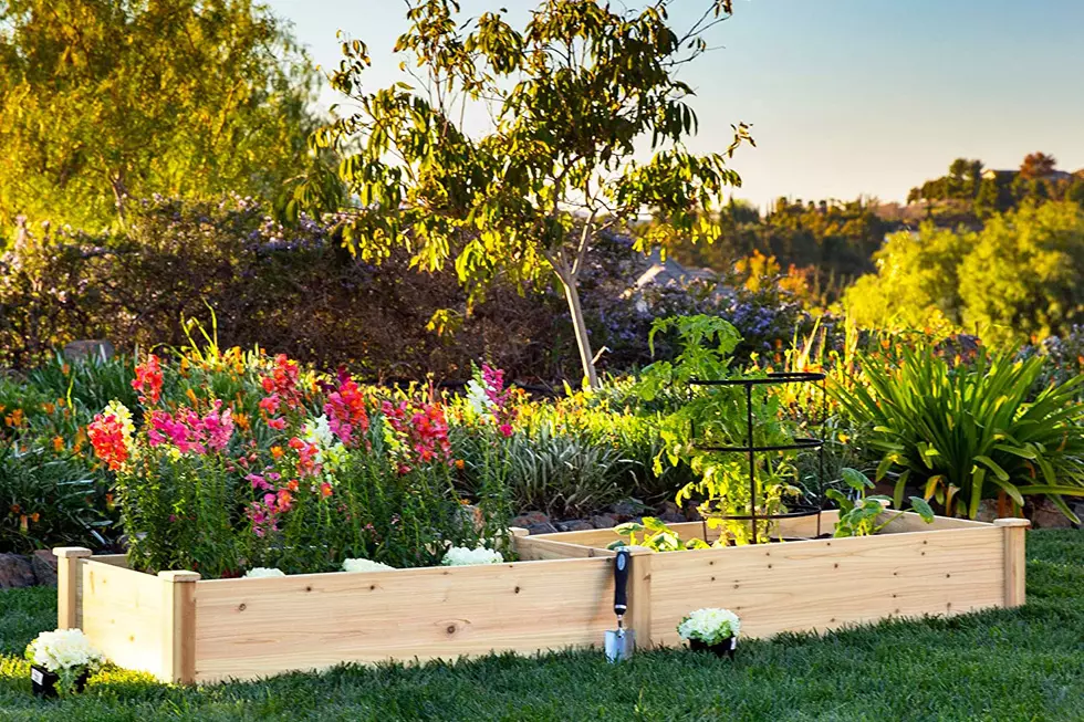 Six Must-Have Gardening Items For This Spring